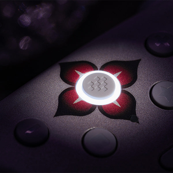 8BitDo Ultimate 2 Wireless Controller (Honkai: Star Rail - Evernight) - Gamepad Design for Flexible Everyday Play